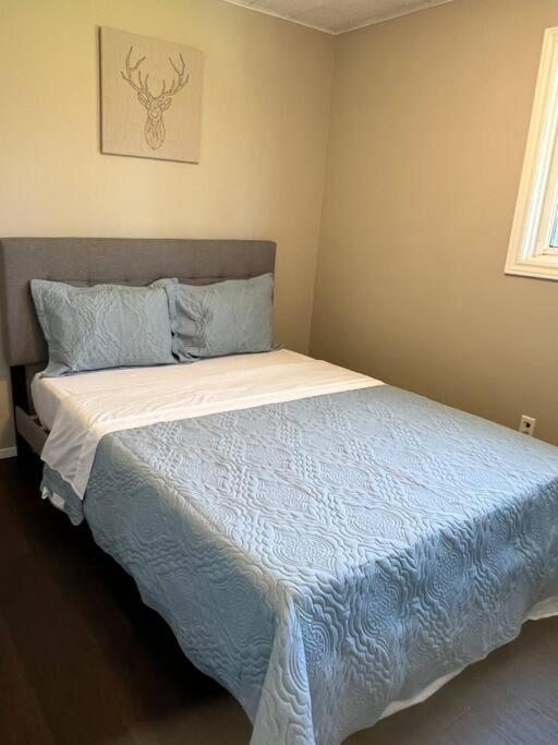 Family Friendly Cottage ☆Walking Distance To Beach Lions Head Zewnętrze zdjęcie